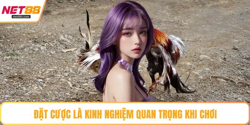 Đặt cược là kinh nghiệm quan trọng khi chơi