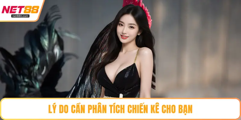 Lý do cần phân tích chiến kê cho bạn