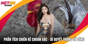 Phân Tích Chiến Kê Chuẩn Xác – Bí Quyết Thắng Dễ Dàng