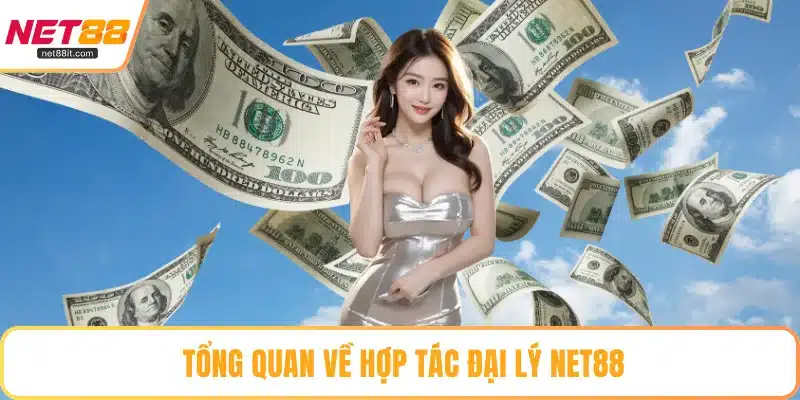 Tổng quan về hợp tác đại lý NET88