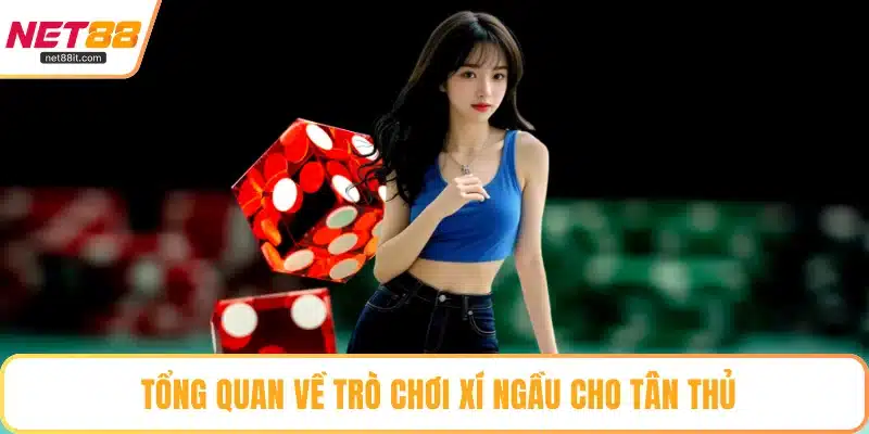 Tổng quan về trò chơi Xí Ngầu cho tân thủ